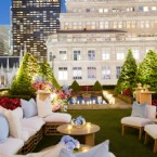 New York, New Beginnings