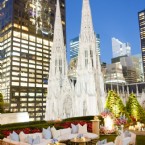 New York, New Beginnings