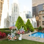 New York, New Beginnings