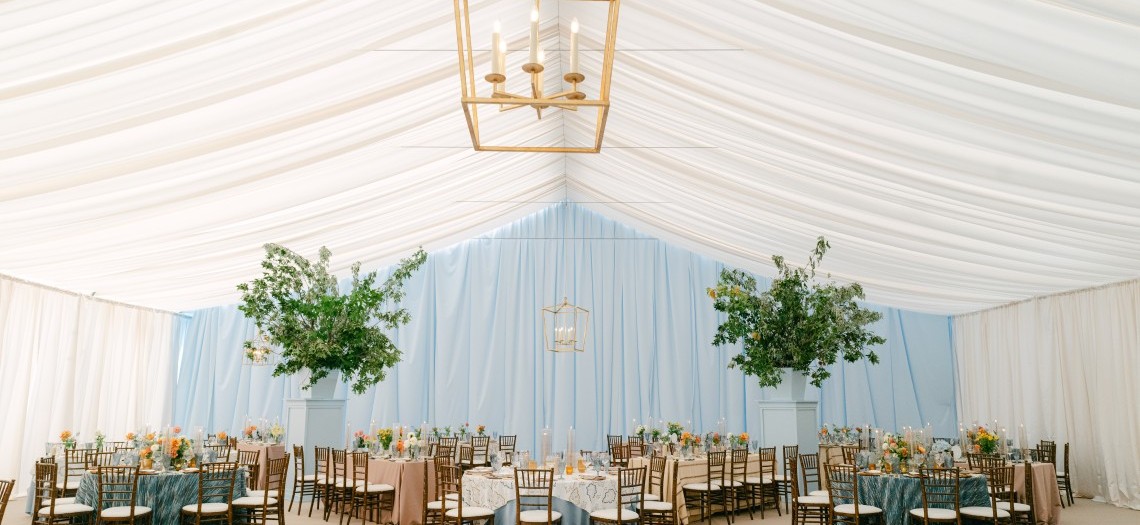 An Endearing Essence