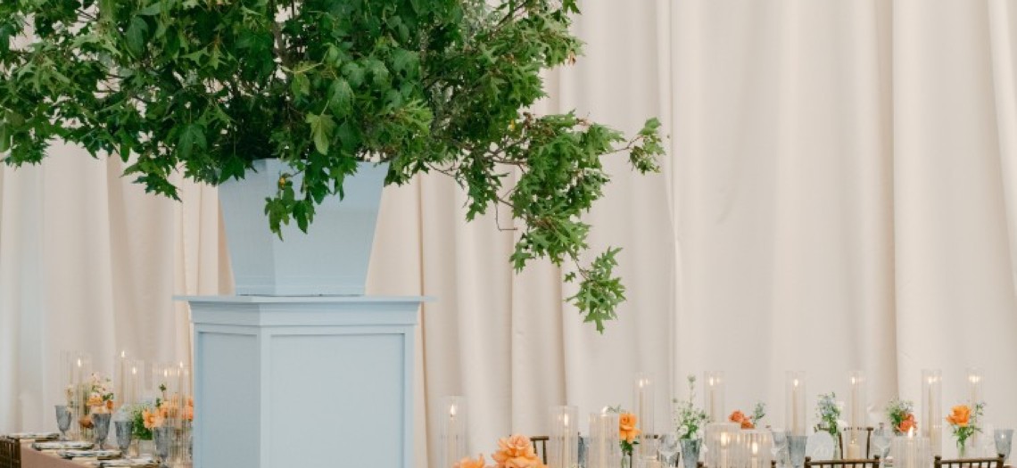 An Endearing Essence