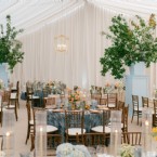 An Endearing Essence