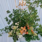 An Endearing Essence