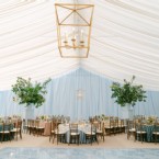 An Endearing Essence