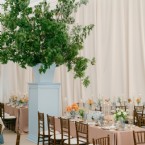 An Endearing Essence