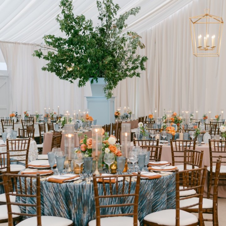 An Endearing Essence