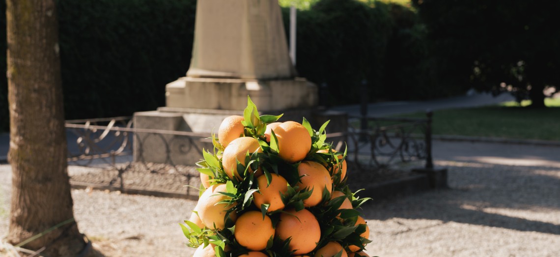Spritz and Citrus