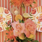 Spritz and Citrus