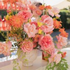 Spritz and Citrus