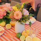 Spritz and Citrus