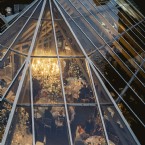 Love in the Conservatory