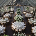 Love in the Conservatory