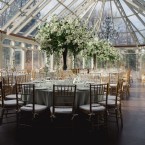 Love in the Conservatory