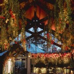 Love in the Conservatory