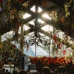 Love in the Conservatory