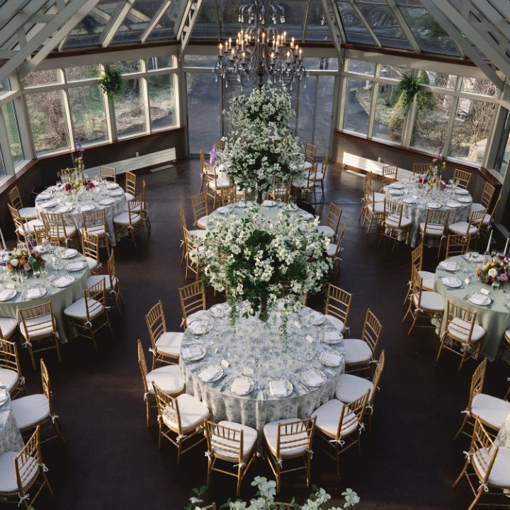 Love in the Conservatory