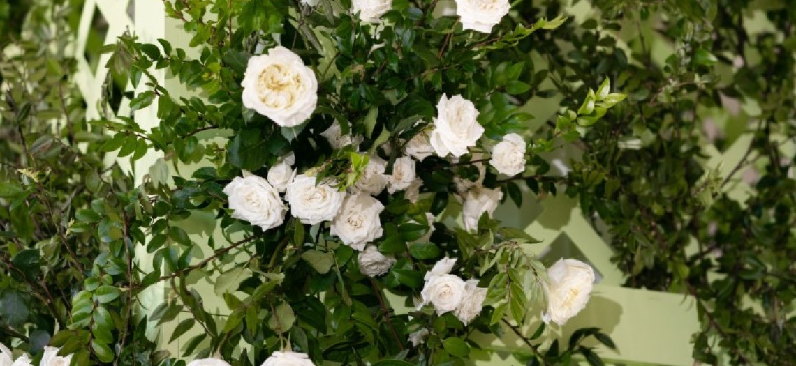 Beaming Botanicals