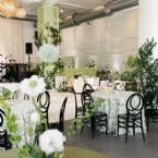 Beaming Botanicals