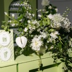 Beaming Botanicals