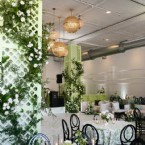 Beaming Botanicals
