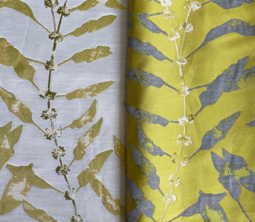 Citron Branches