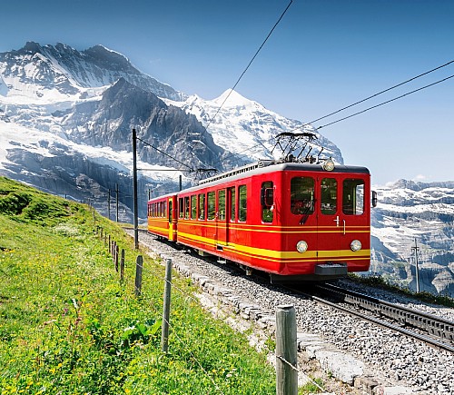 Swiss Alps Train Drape