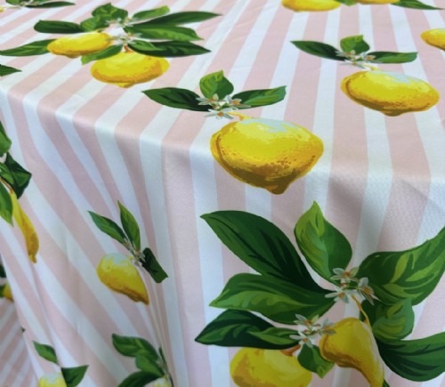 Pink Lemonade Cabana Stripe