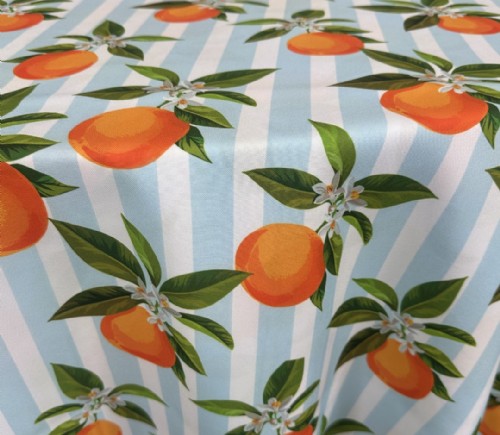 Blue Orange Blossom Cabana Stripe