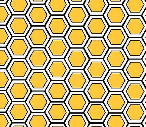 Black & Gold Honeycomb
