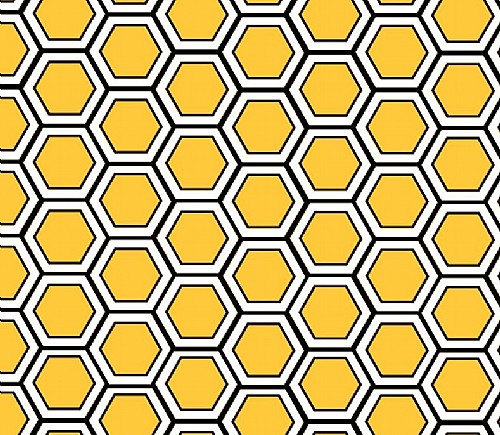 Black & Gold Honeycomb