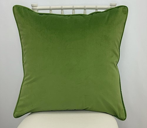 Apple Velvet Pillow