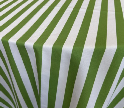 Green Cabana Stripe Cotton