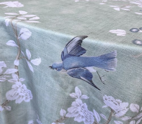 Bluebird Panama