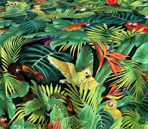 Toucan