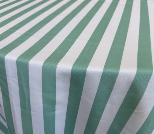 Celadon Cabana Stripe