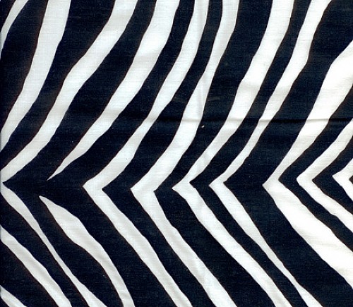 Zebra Print