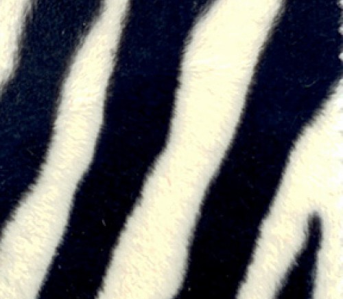 Zebra Fur