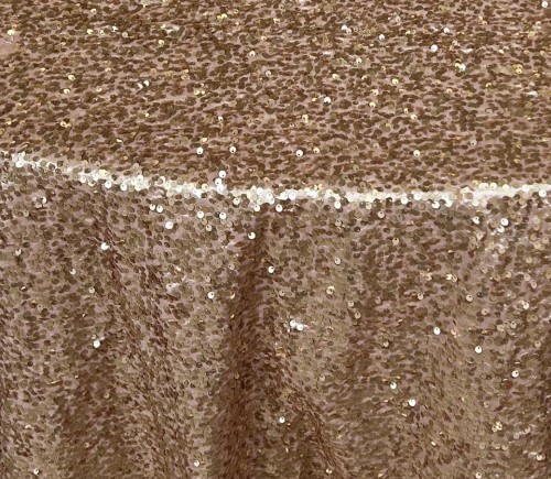 Blush Sequined Taffeta