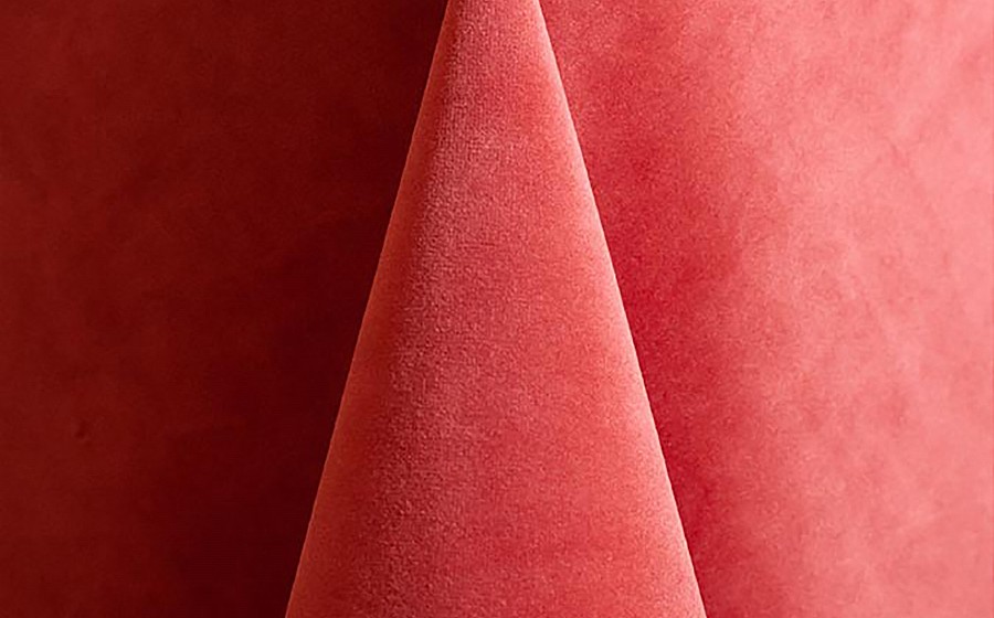 Coral Velvet